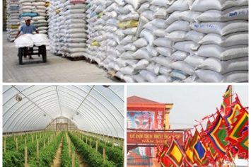 Ban hành 16 văn bản QPPL trong tháng 8/2018