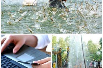 Ban hành 9 văn bản QPPL trong tháng 12/2018