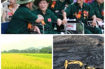 Ban hành 11 văn bản QPPL trong tháng 7/2019