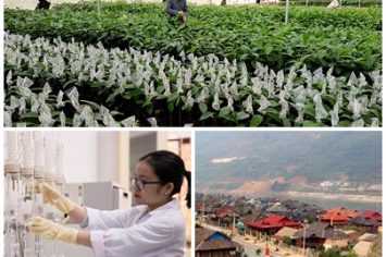 Chính sách mới có hiệu lực từ tháng 2/2020