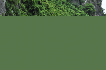 Chính thức giảm từ 20 – 50% nhiều loại phí, lệ phí